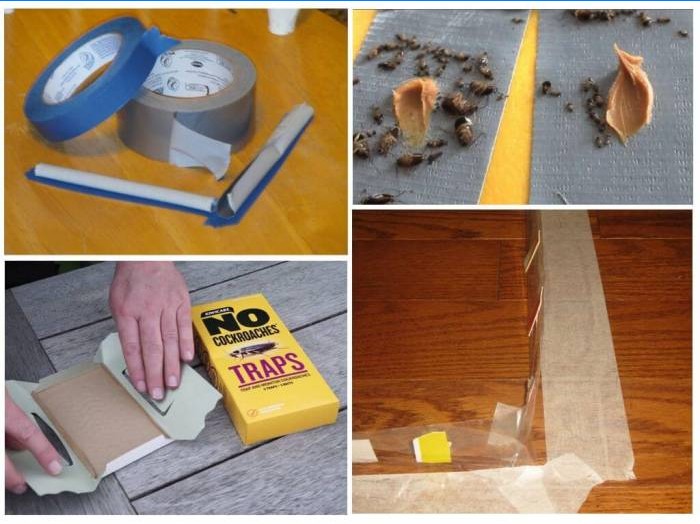 Homemade tape traps