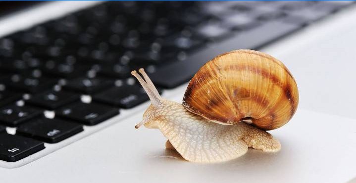 Snail on laptop