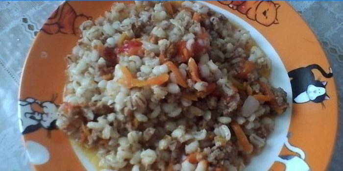 Barley porridge with minced meat and vegetables