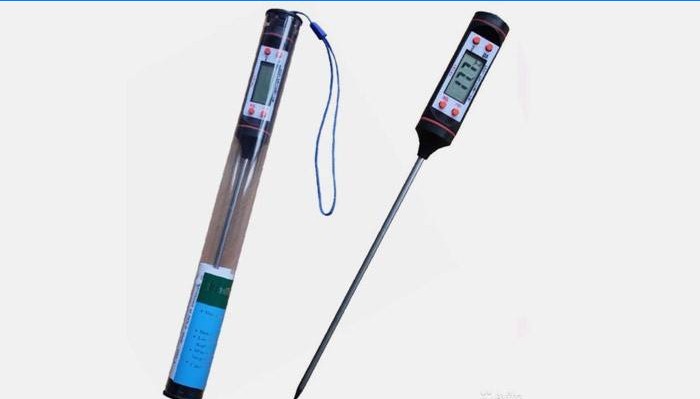 Meat thermometer with dipstick