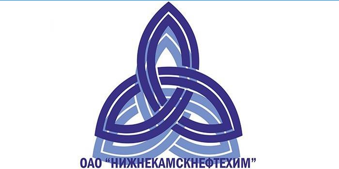 Nizhnekamskneftekhim company logo