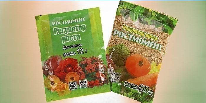 Growth regulators for flowers and vegetables from Rostmoment