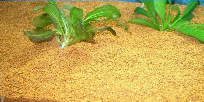 Nutrient soil for aquarium plants