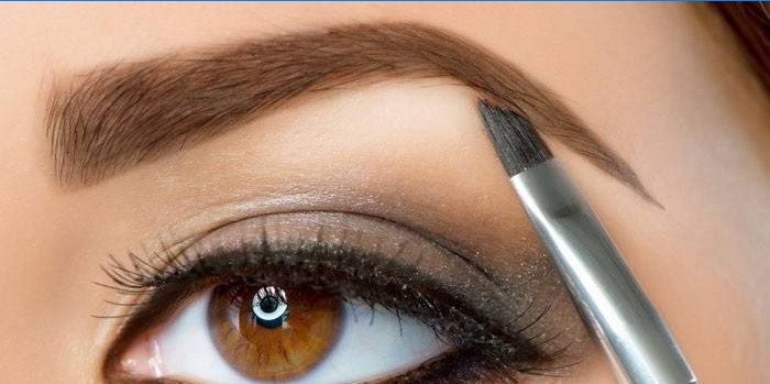 Girl on wears a brush with eye shadow eyebrow