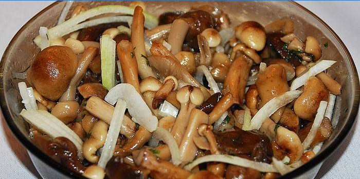 Mushrooms with onions