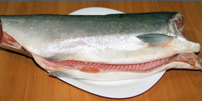 Chopped coho salmon on a plate