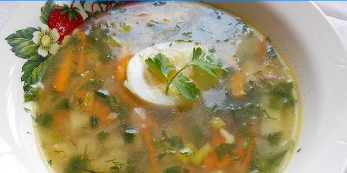 Chicken broth soup with celery