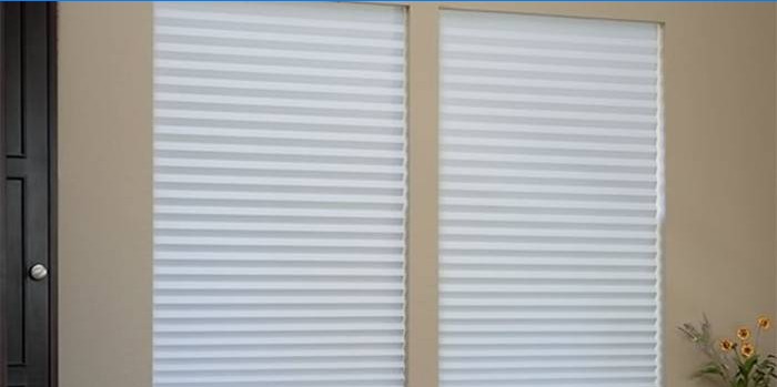 Paper pleated blinds on plastic windows