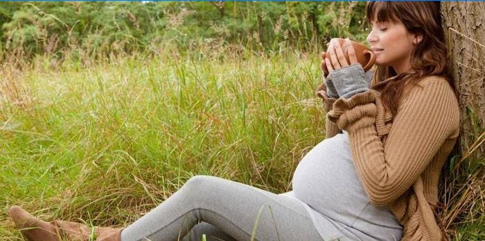Pregnant woman drinks tea in nature