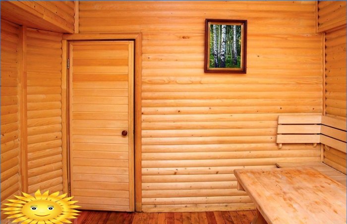 Doors for baths, saunas, steam rooms: requirements, features, fittings