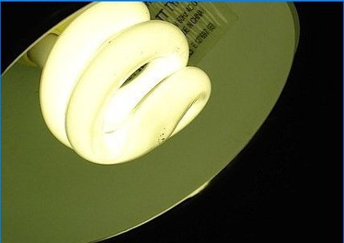 How an energy-saving lamp works and works
