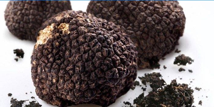 Three black truffles