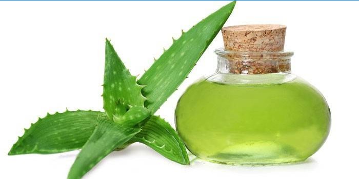 Aloe leaves and juice in a bottle