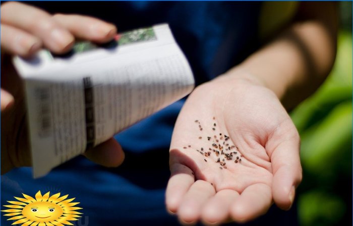 How to choose seeds in seedling bags