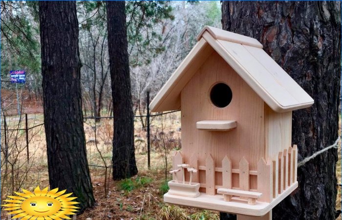 How to properly place a birdhouse on the site