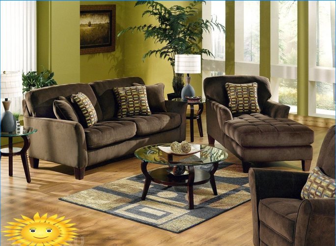 A brown-green living room is perfect for a conservative phlegmatic