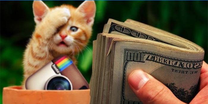 Kitten, instagram icon and money in hand