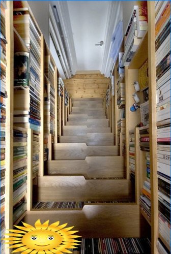 Ladder-bookcase
