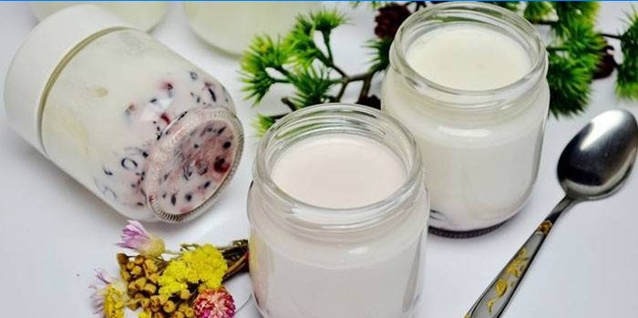 Homemade Yogurt in Jars