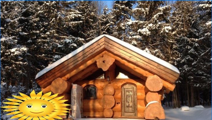 Photo selection of houses made of large diameter chopped logs