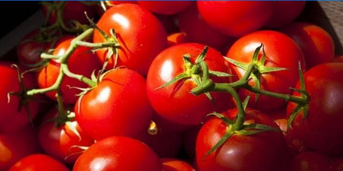 Tomatoes Yablonka of Russia