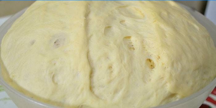 Fresh yeast dough