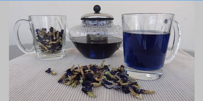Brewed blue tea with a cup and teapot