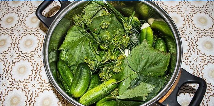 Cucumbers, leaves and herbs in a pan