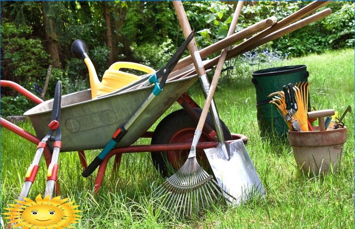 The minimum set of tools for gardening