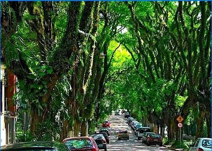 The most unusual streets in the world