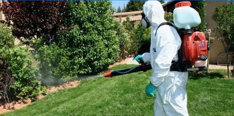 Precautions for handling pesticides