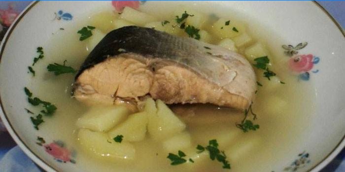 Ear with canned pink salmon and potatoes