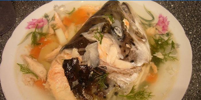 Salmon head fish soup in a plate