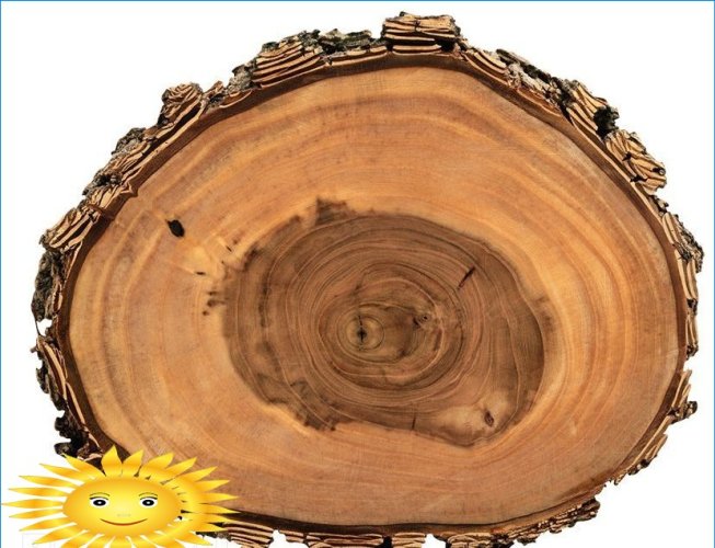 Oval cut of a tree