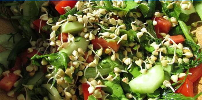 Salad with sprouted grains of green buckwheat