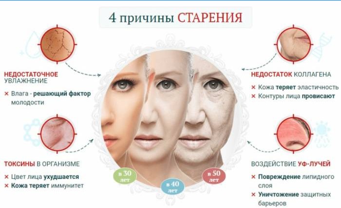 Causes of aging