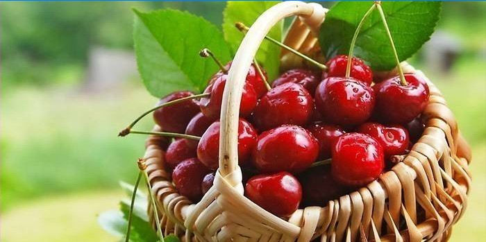 Cherry in a basket