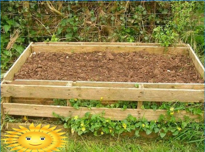 8 ways to grow potatoes without digging in your garden