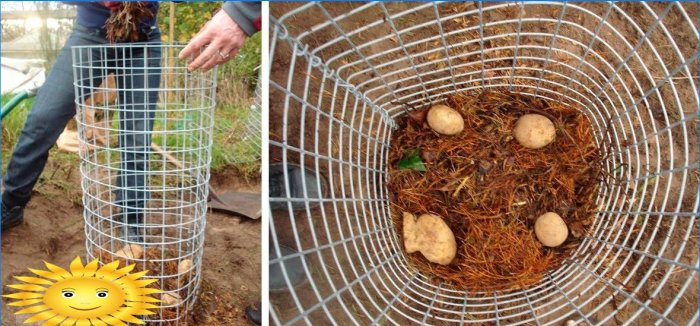 8 ways to grow potatoes without digging in your garden