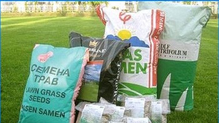 How to choose lawn grass seeds