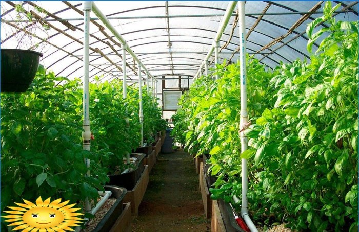 Country greenhouse - technical equipment
