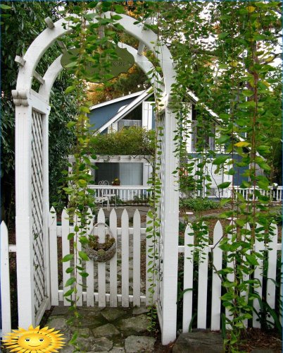 DIY gate: photos and decoration ideas