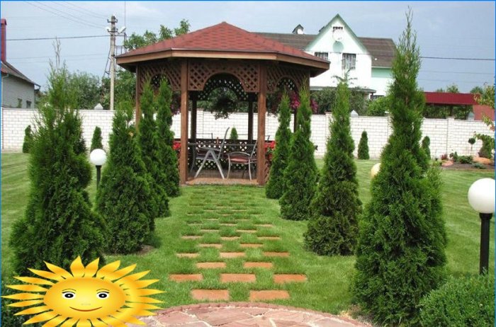 Do-it-yourself landscape design of the site