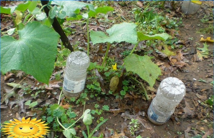 Drip irrigation with plastic bottles