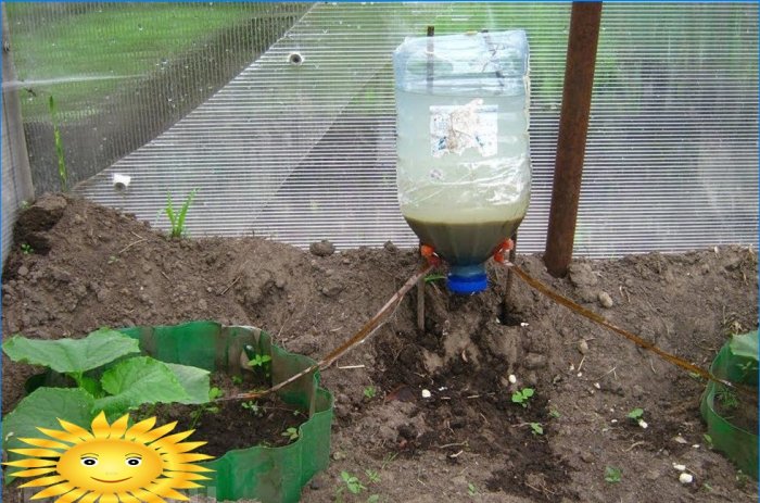 Drip irrigation with plastic bottles