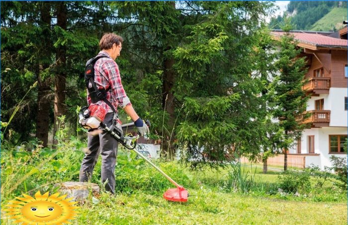 How to choose a grass trimmer