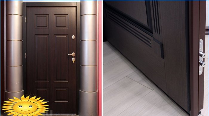 How to choose an entrance door
