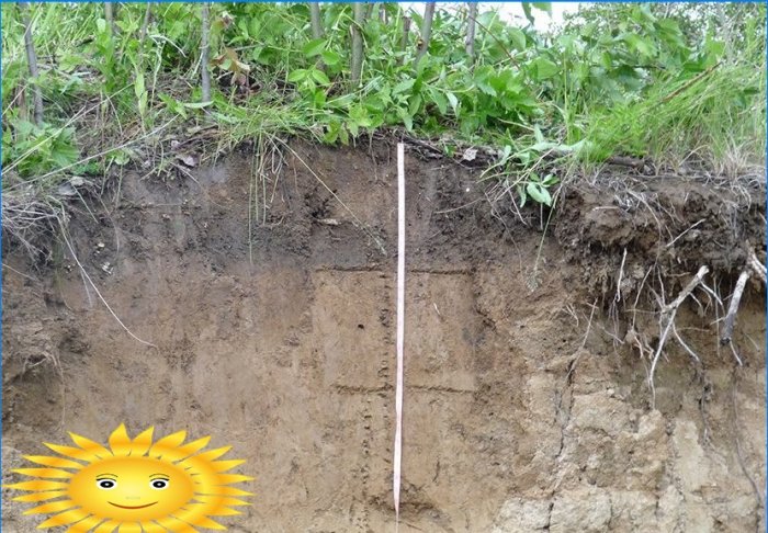 Study of soil under the foundation