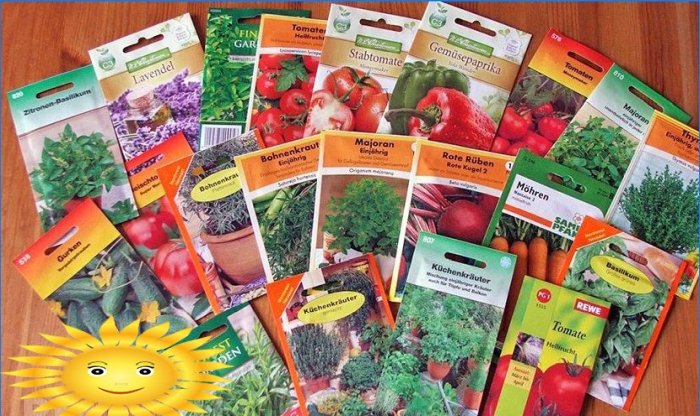 How to choose and buy seeds
