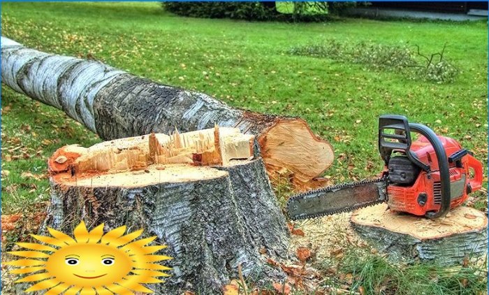 How to cut a tree without breaking the law